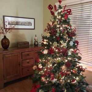 Meet your Posher, Nicoletta